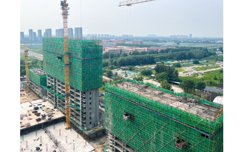 鏖戰三伏天 聊城項目建設的“速度與激情”